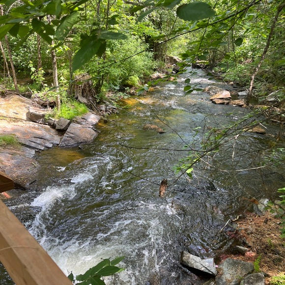 Meet your Posher, Tammy - Picture 1 of 1